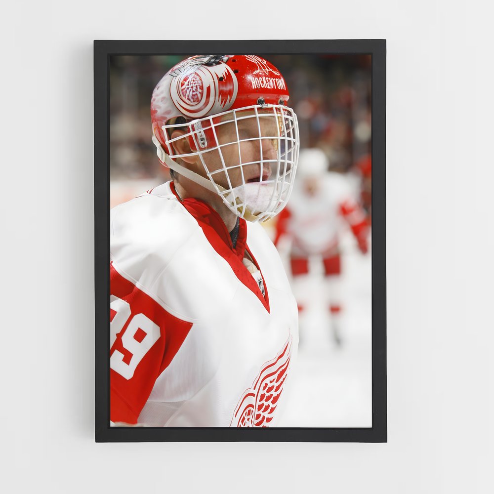 Poster Dominik hasek – affiche Hockey sur glace (vue 2)